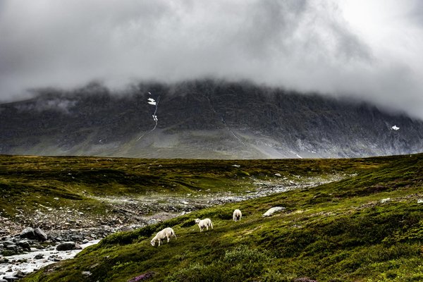 Sélection des meilleurs emplacements pour camper en tente en Auvergne