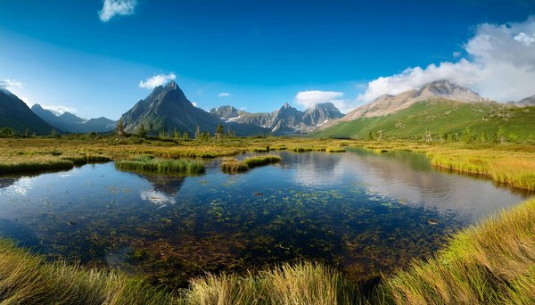 Shopping à Disneyland Paris